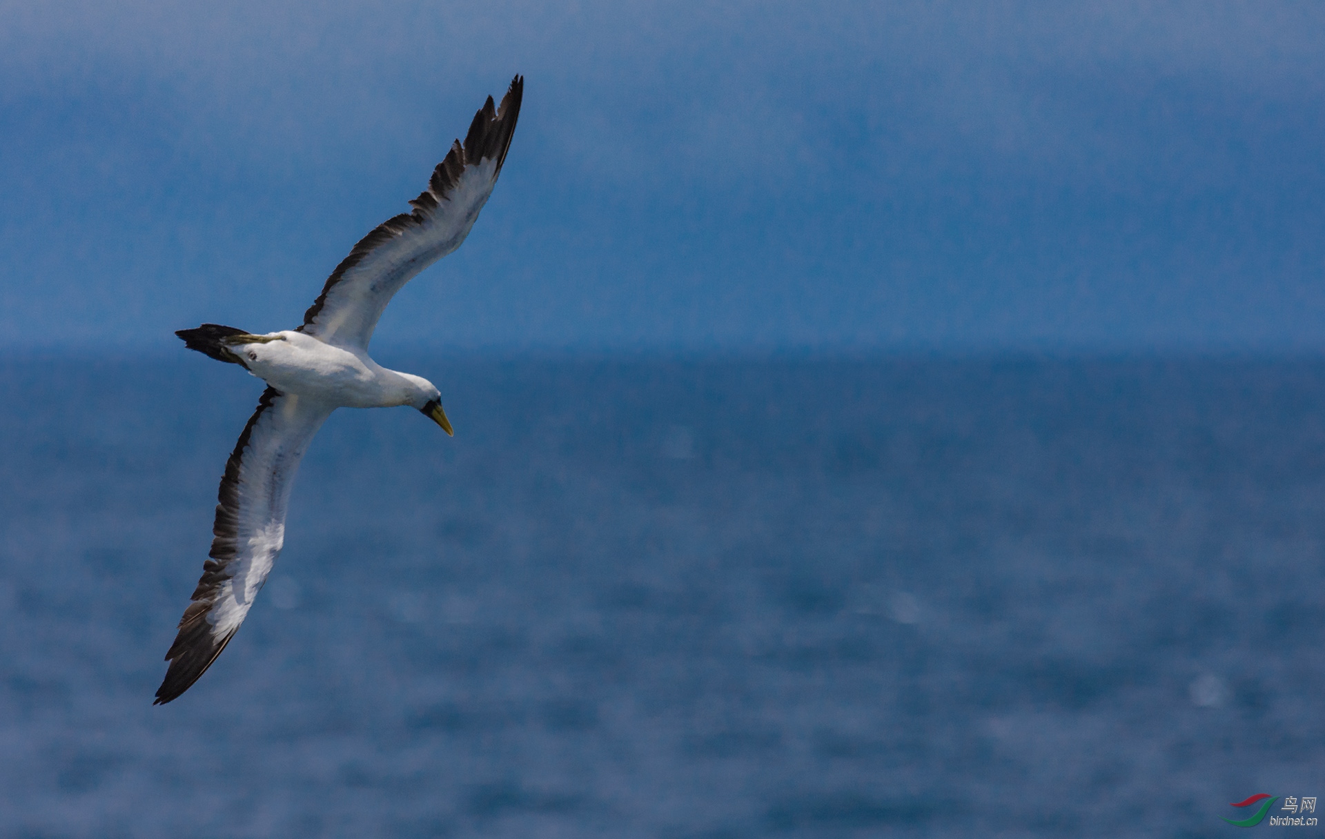 ׼������ȥ