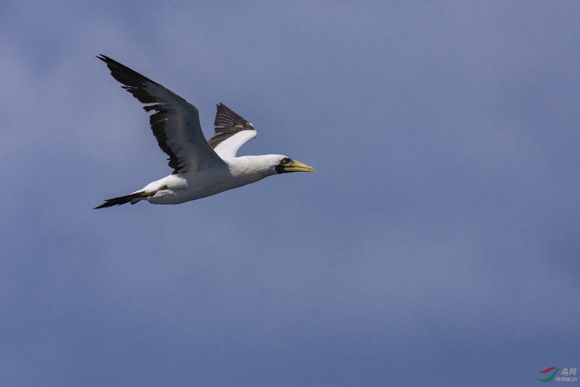 һ������