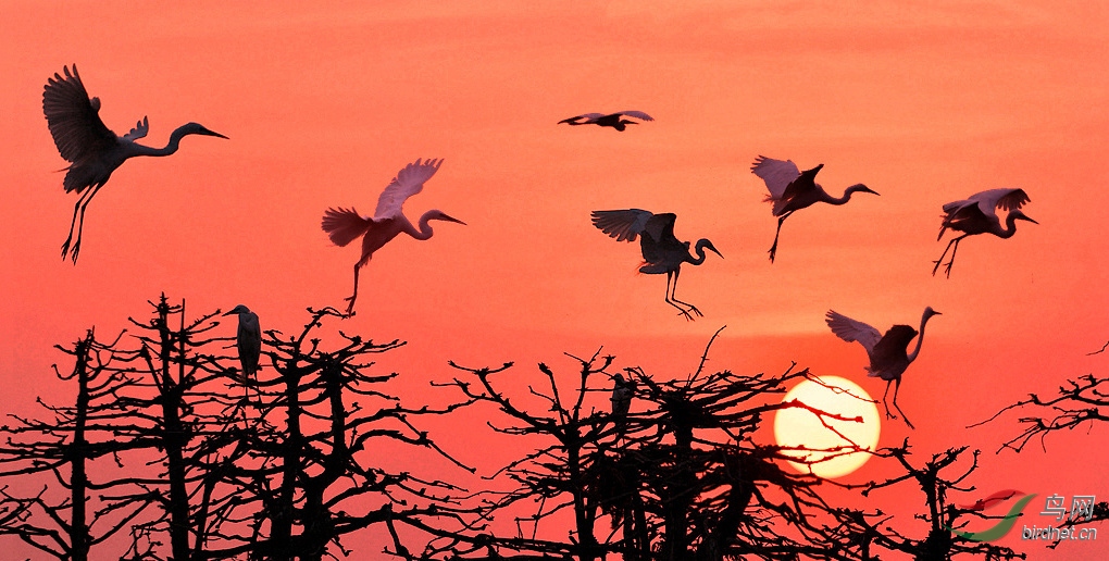 ����ʱ��