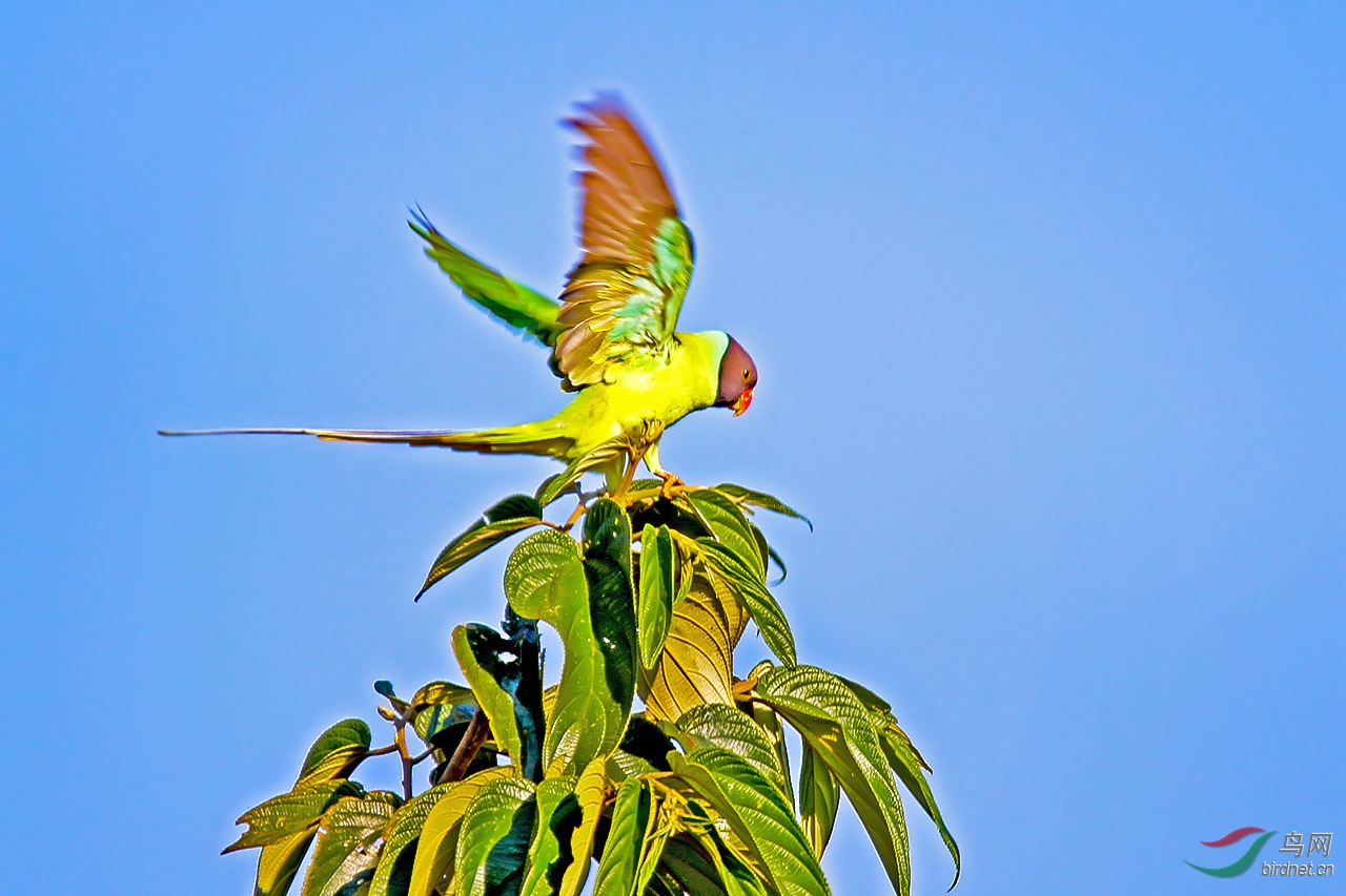 IMG_3613_����1 ��ͷ����.jpg