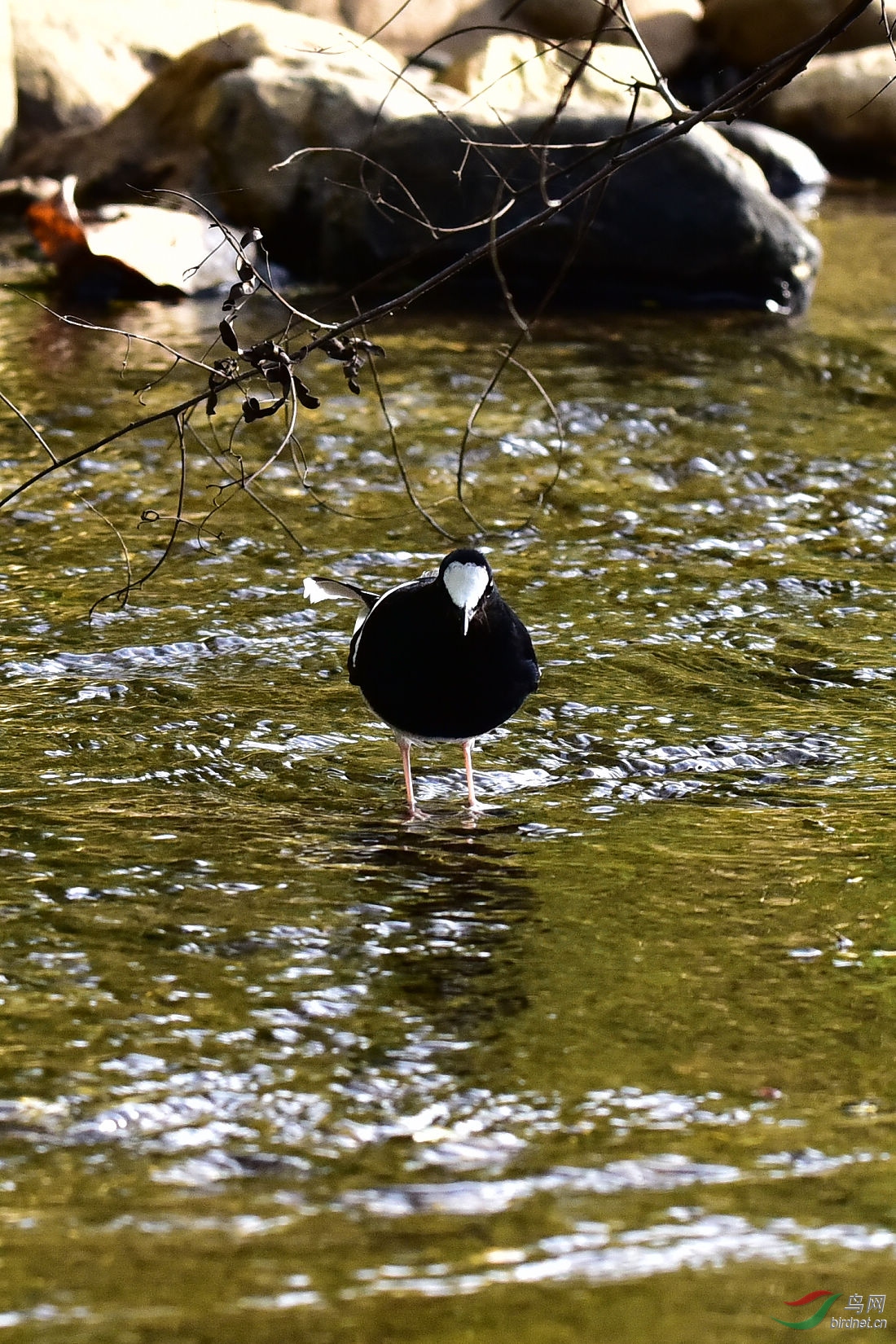 DSC_0179.JPG