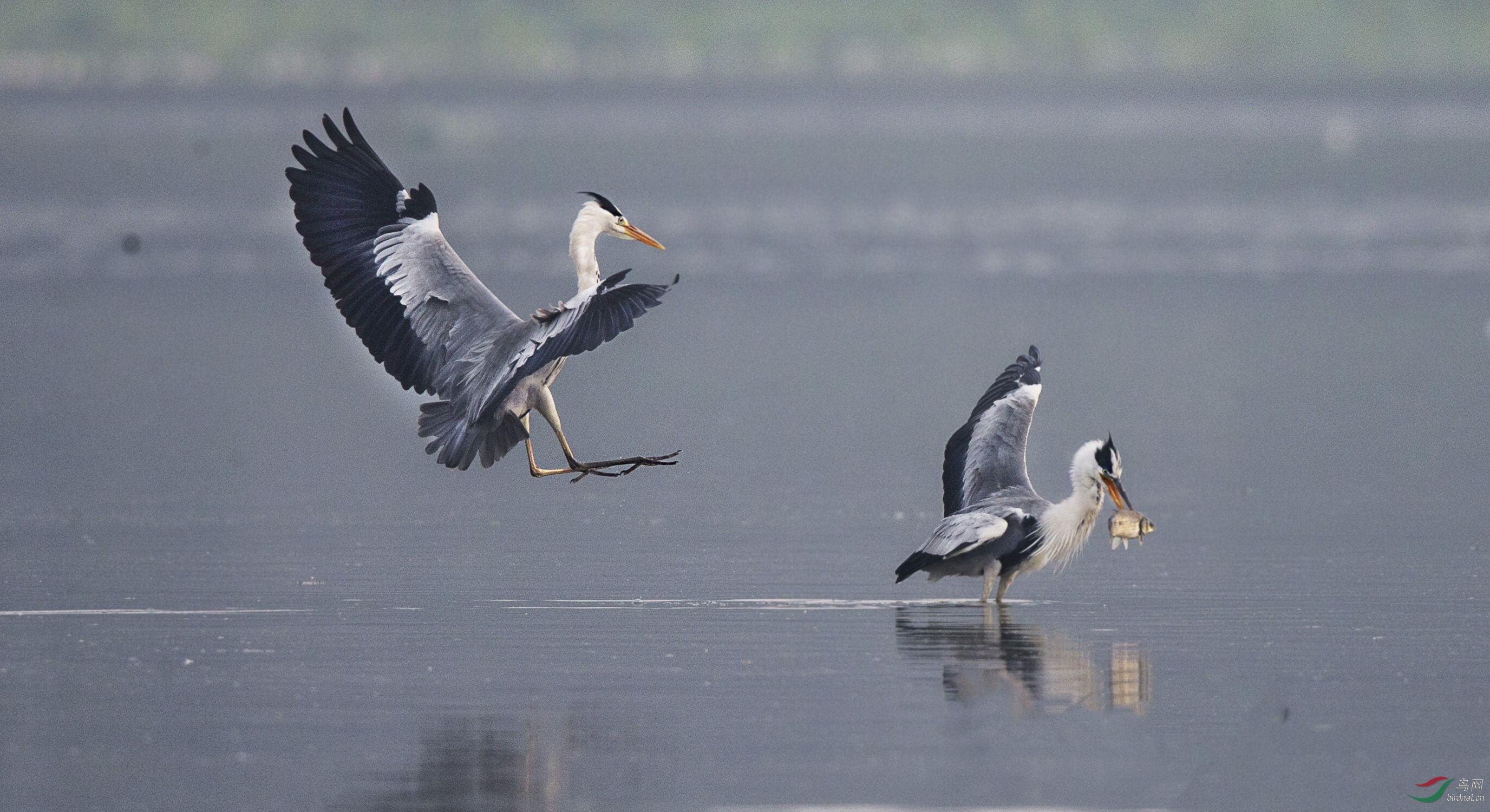 BW4Q4882 - ����.jpg