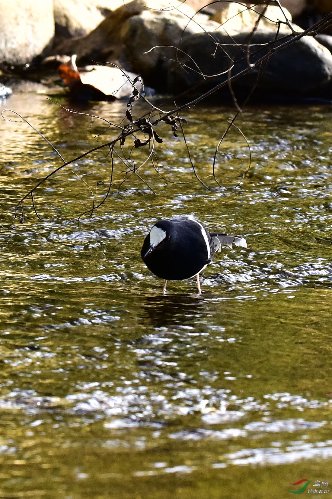 DSC_0182.JPG