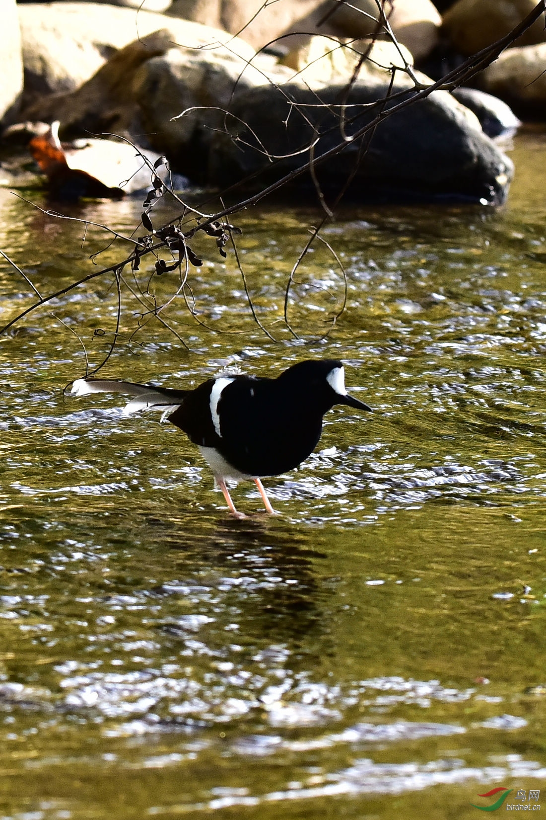 DSC_0183.JPG