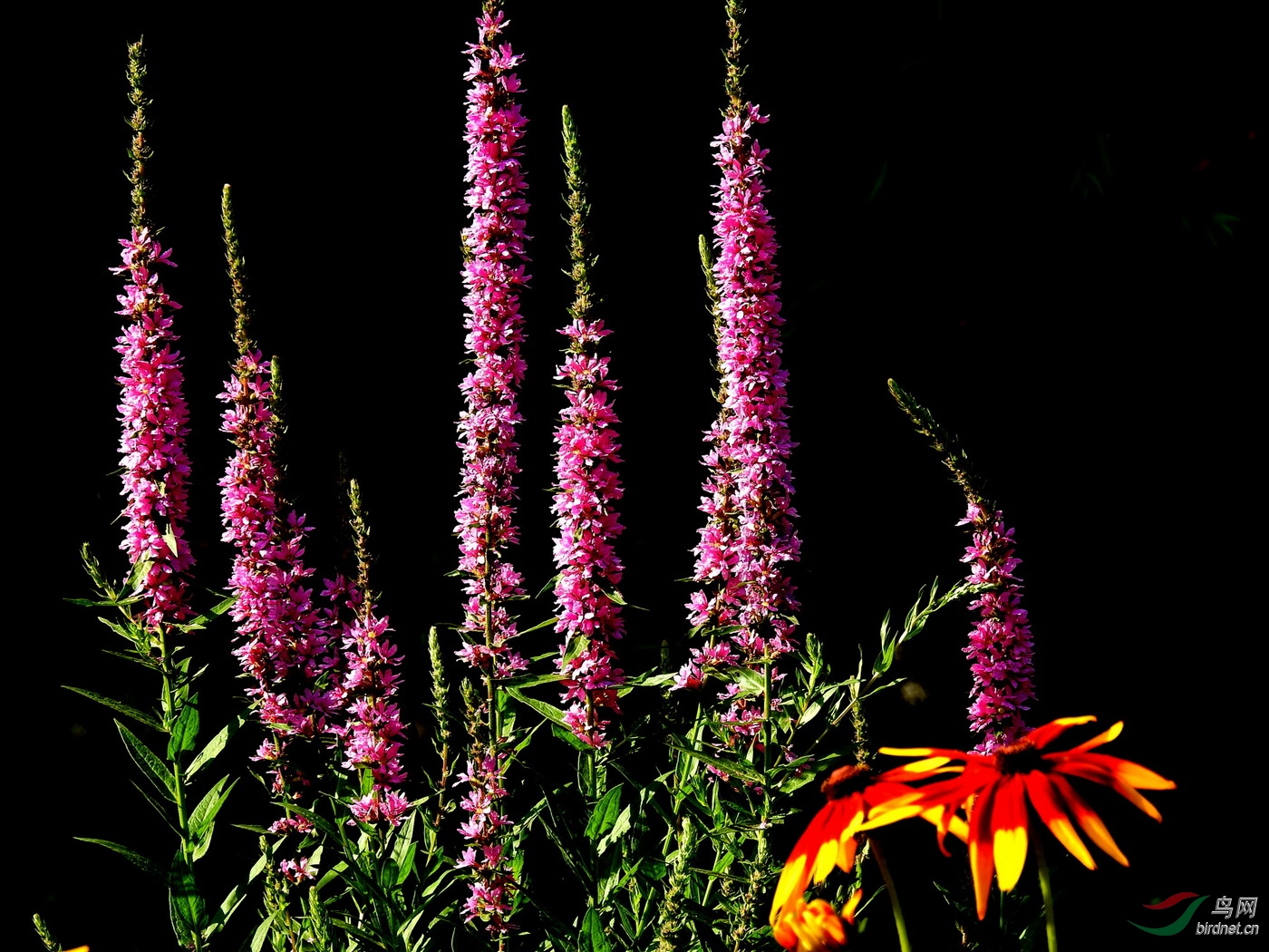 DSCN3833.JPG