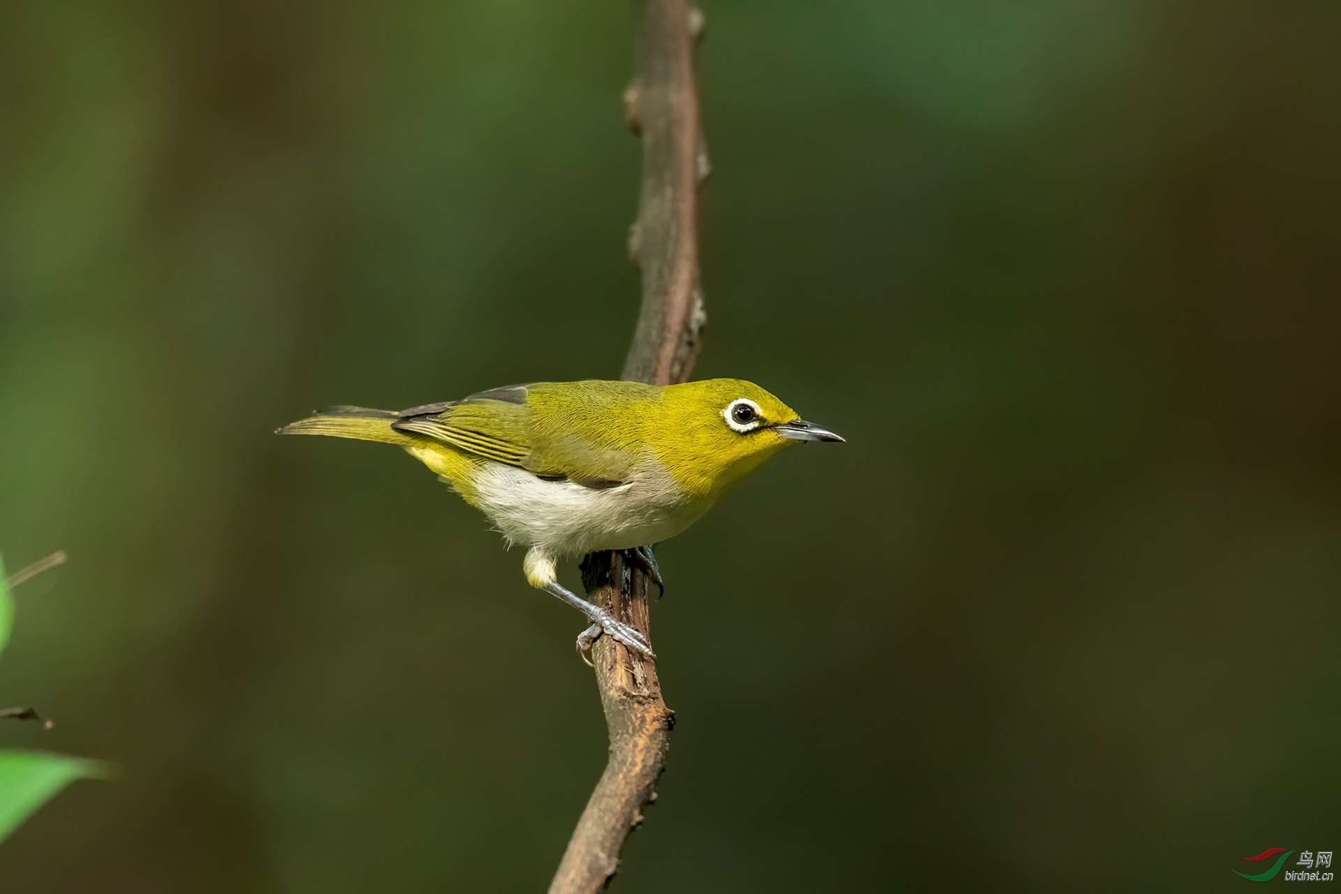 JJY_1434.jpg