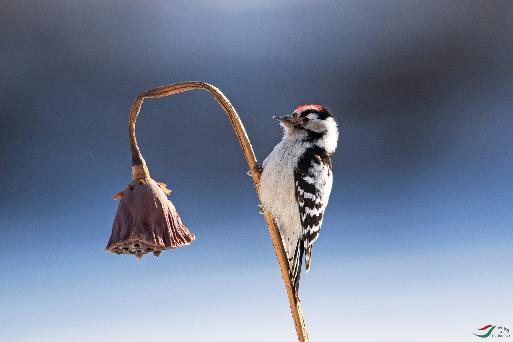 zhanghj486 ��ʦ�����ں�����ʡ������(��.jpg