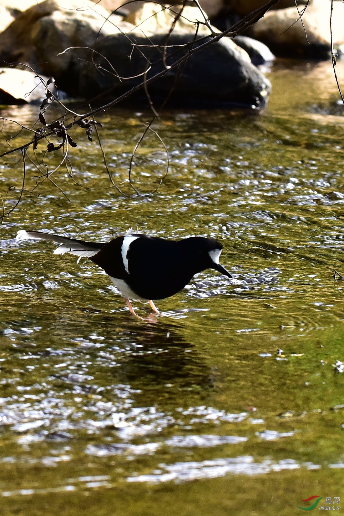 DSC_0185.JPG
