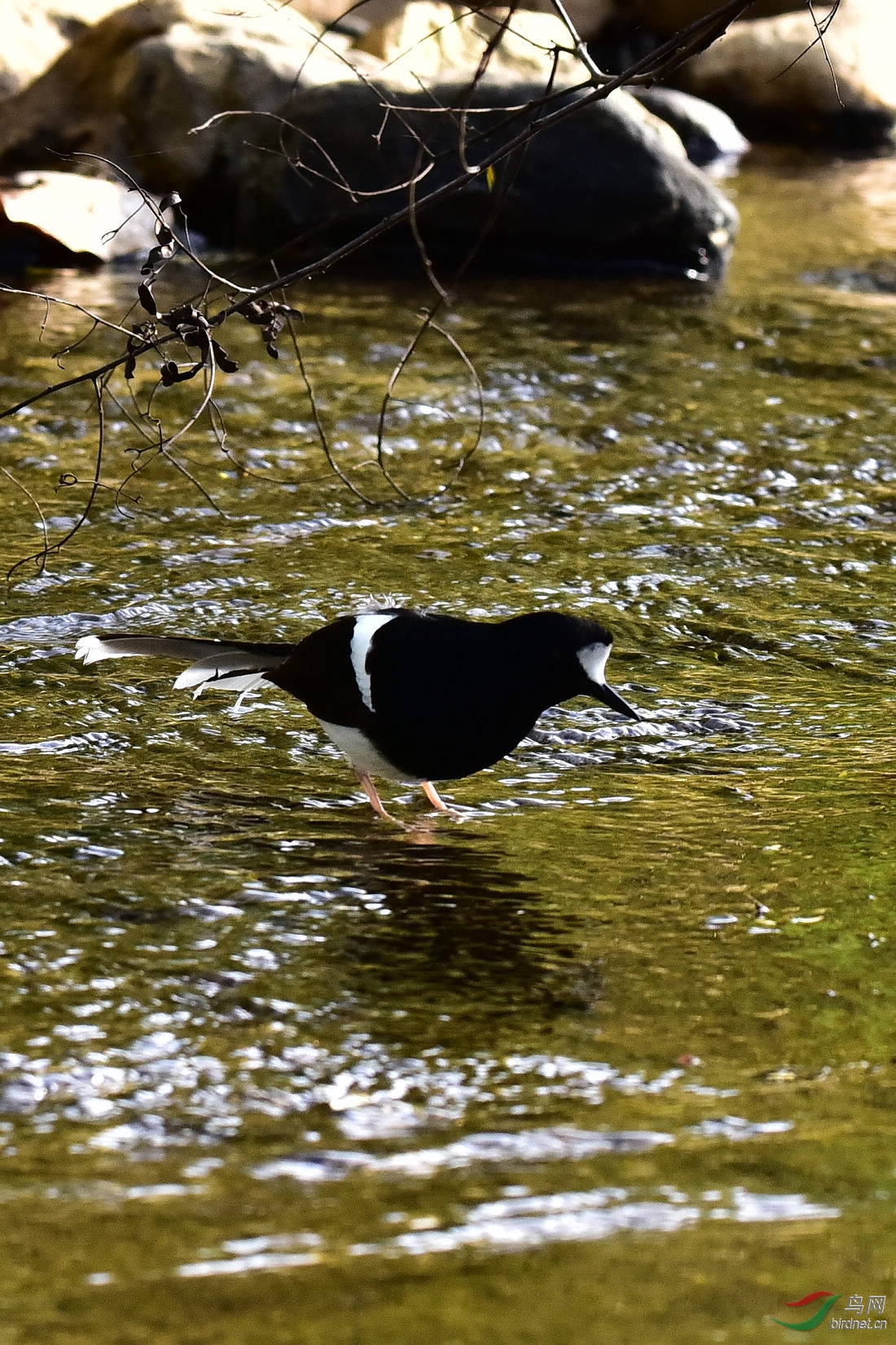 DSC_0186.JPG