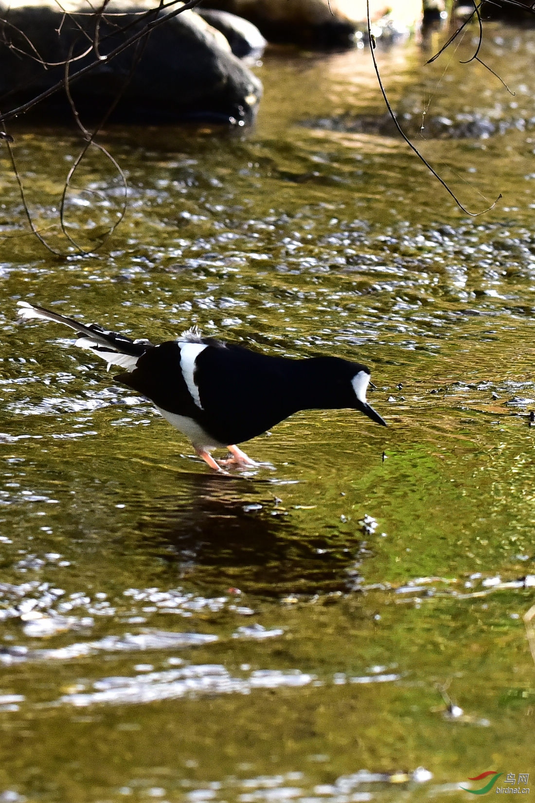 DSC_0189.JPG