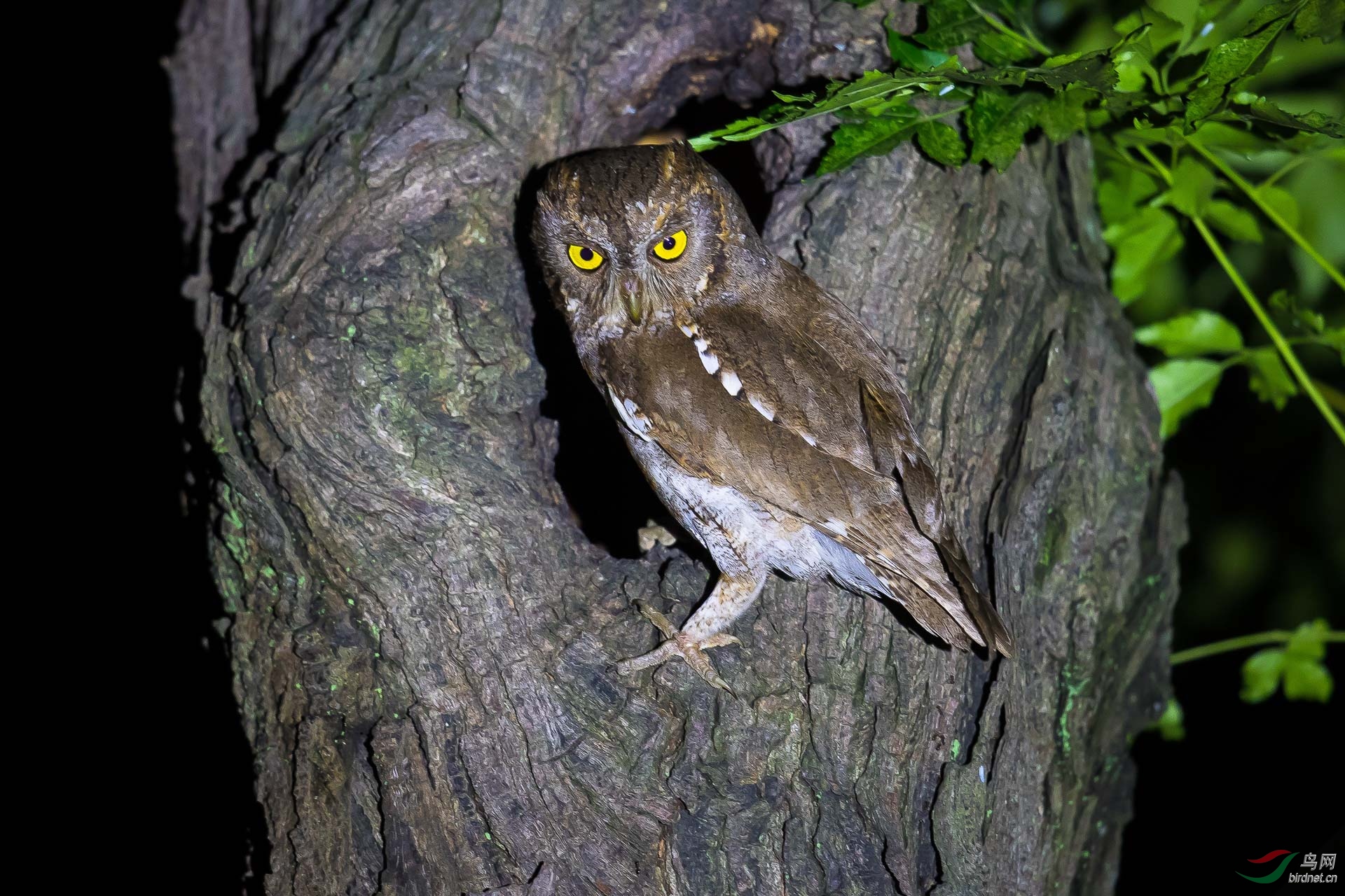 P3��3~5��ͬһ���ط��ĵġ�