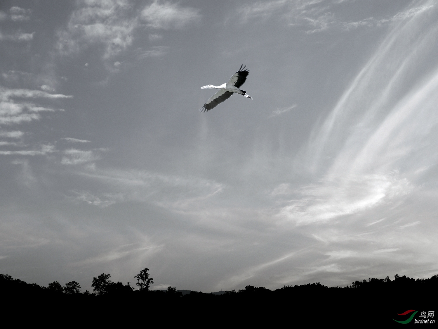 202046.ǡ���ƺ������