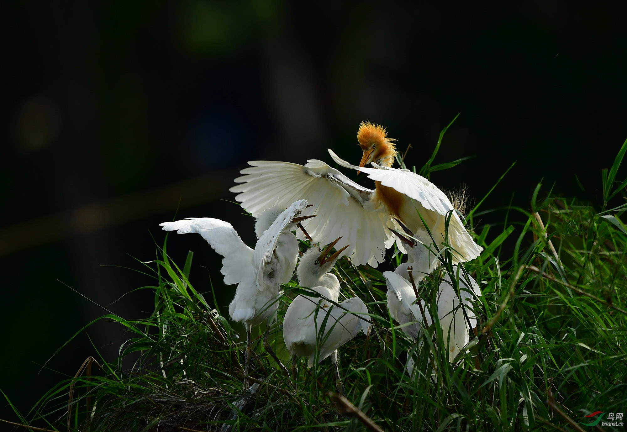 W01_3736_��ͼ��0.jpg