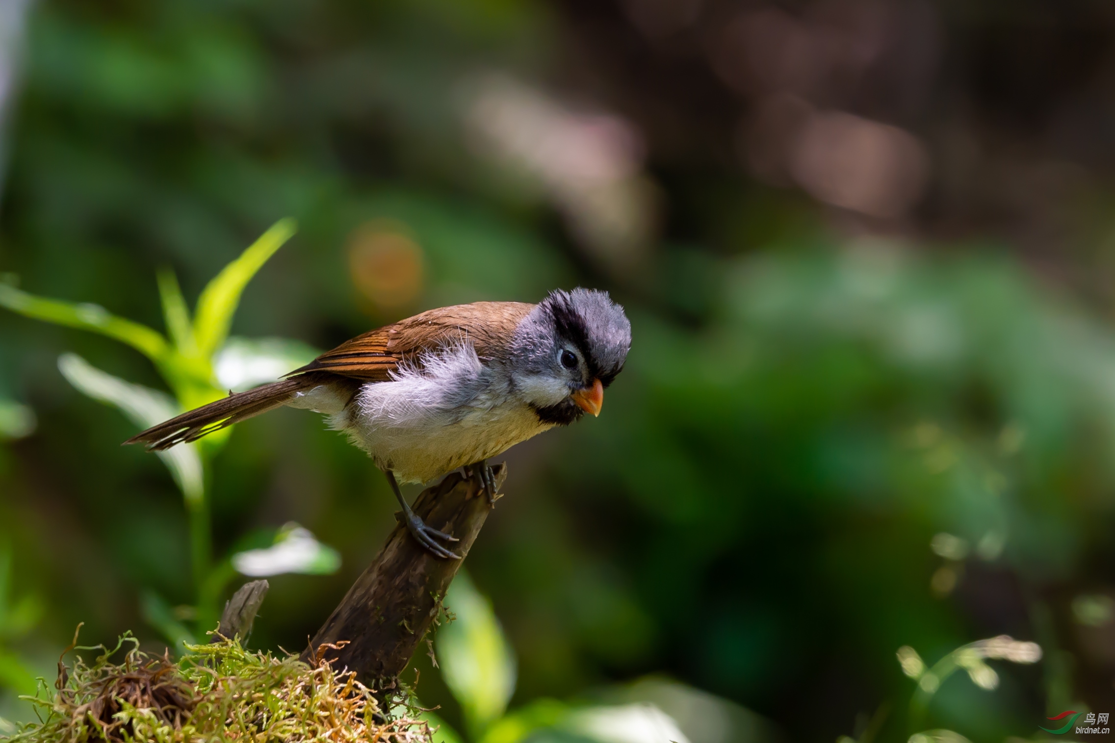 _DSC8130-1.jpg