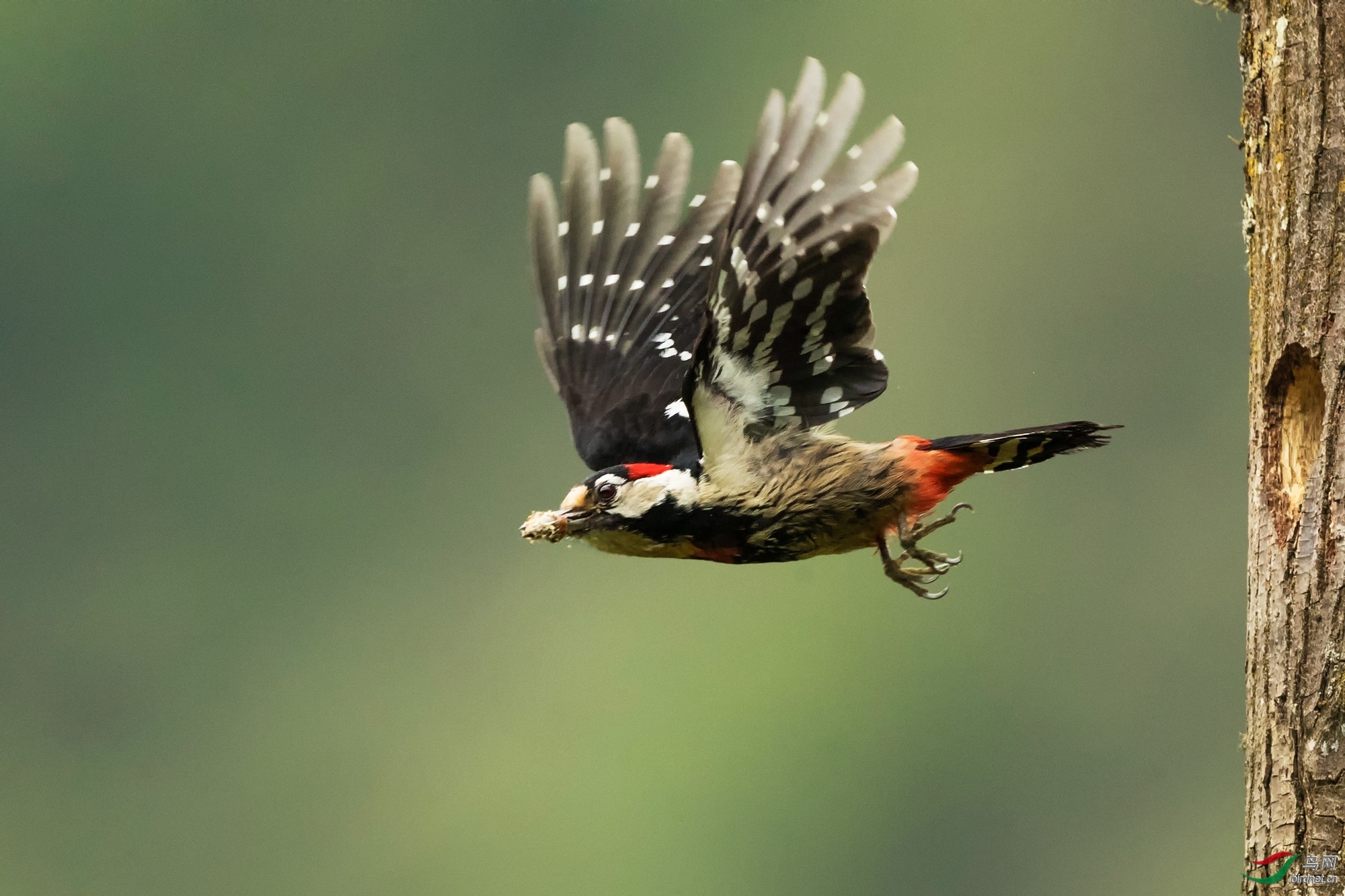 ��ֵ��� ��ʦ�������Ĵ�ʡ���Ӳ���Ǽ��������.jpg