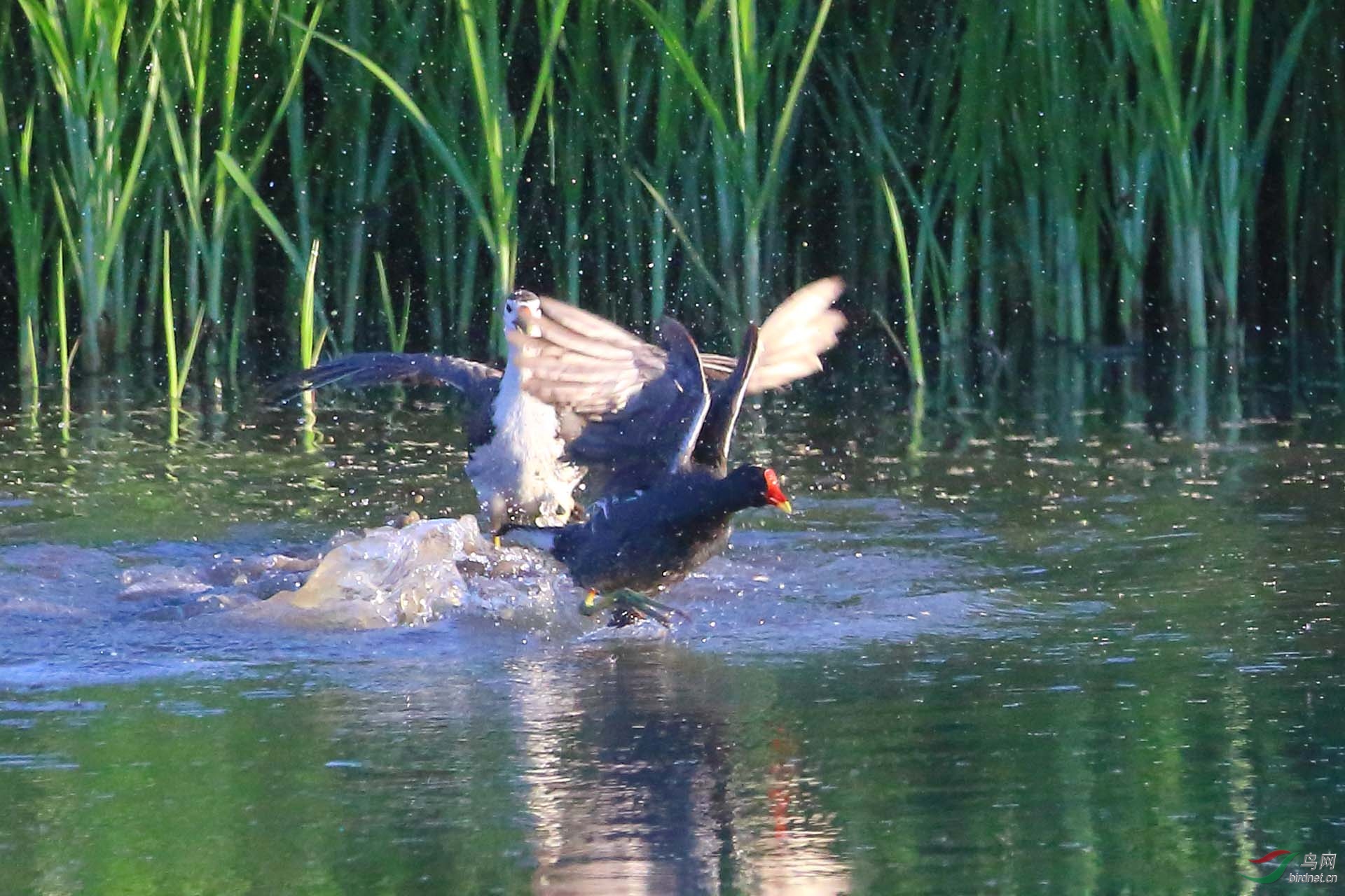 IMG_0490.JPG