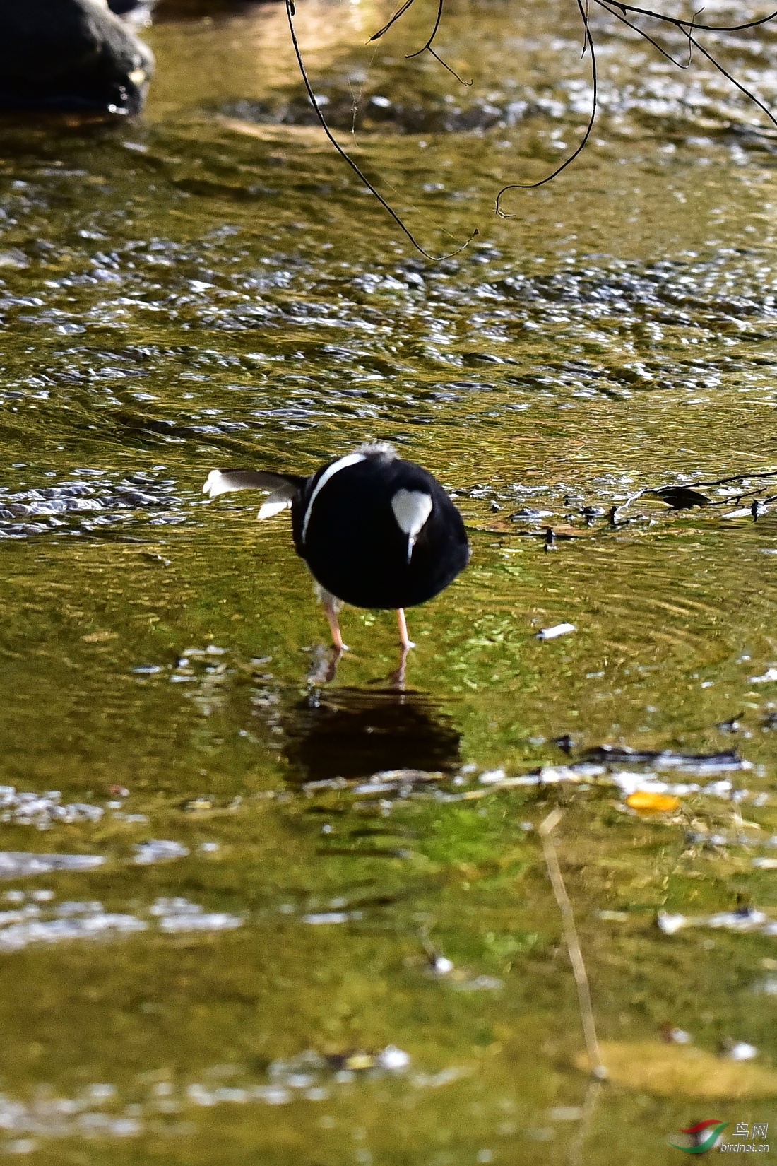 DSC_0193.JPG
