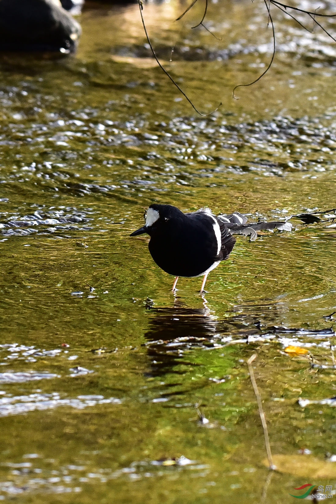 DSC_0194.JPG