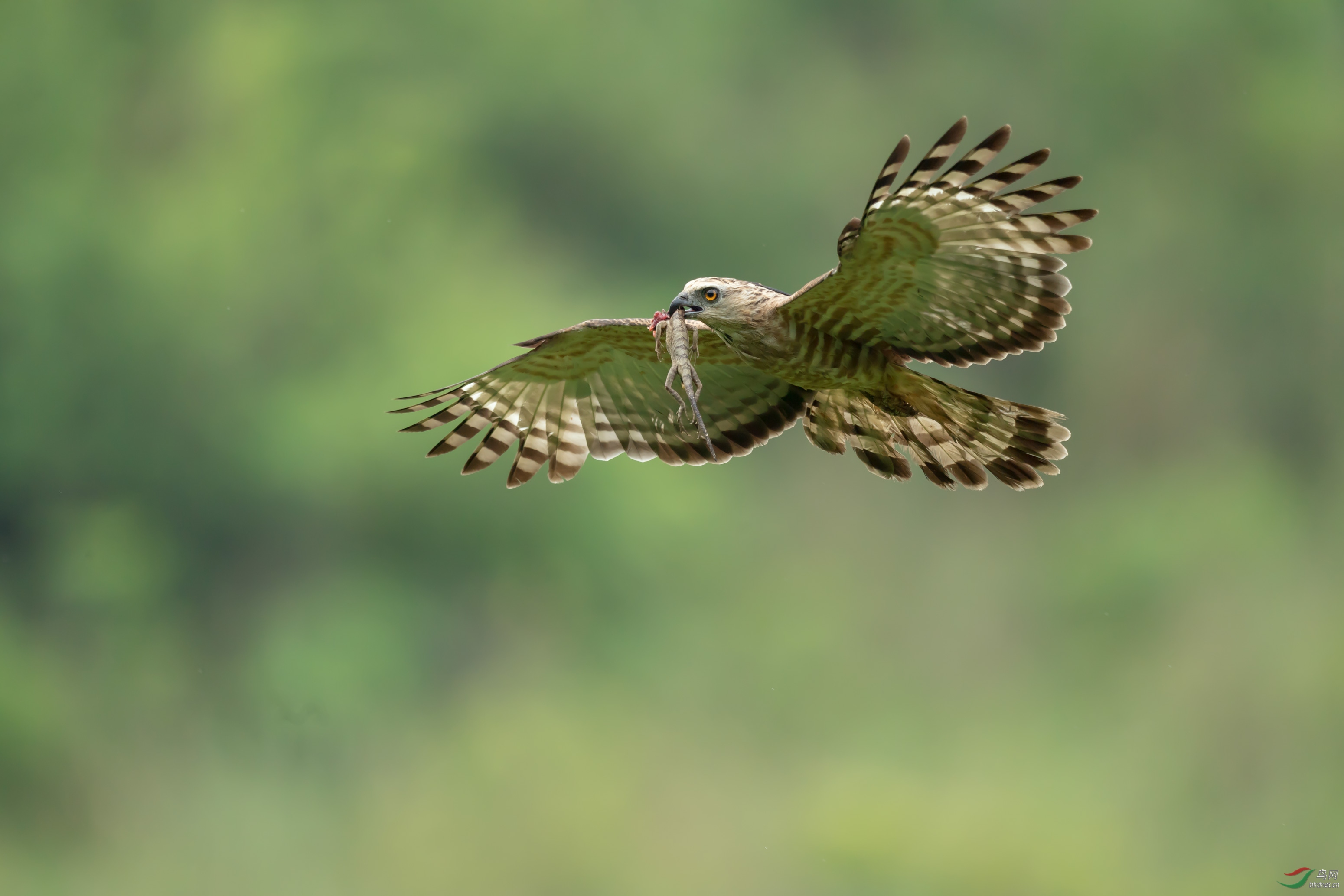 DSC_5584-1.jpg