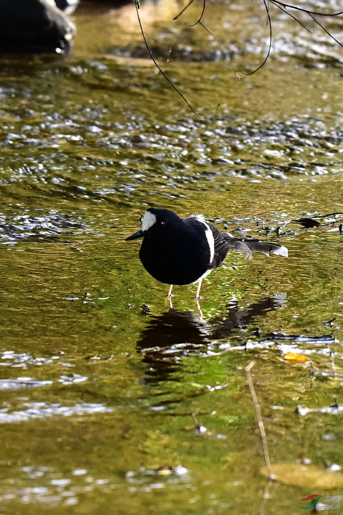DSC_0195.JPG