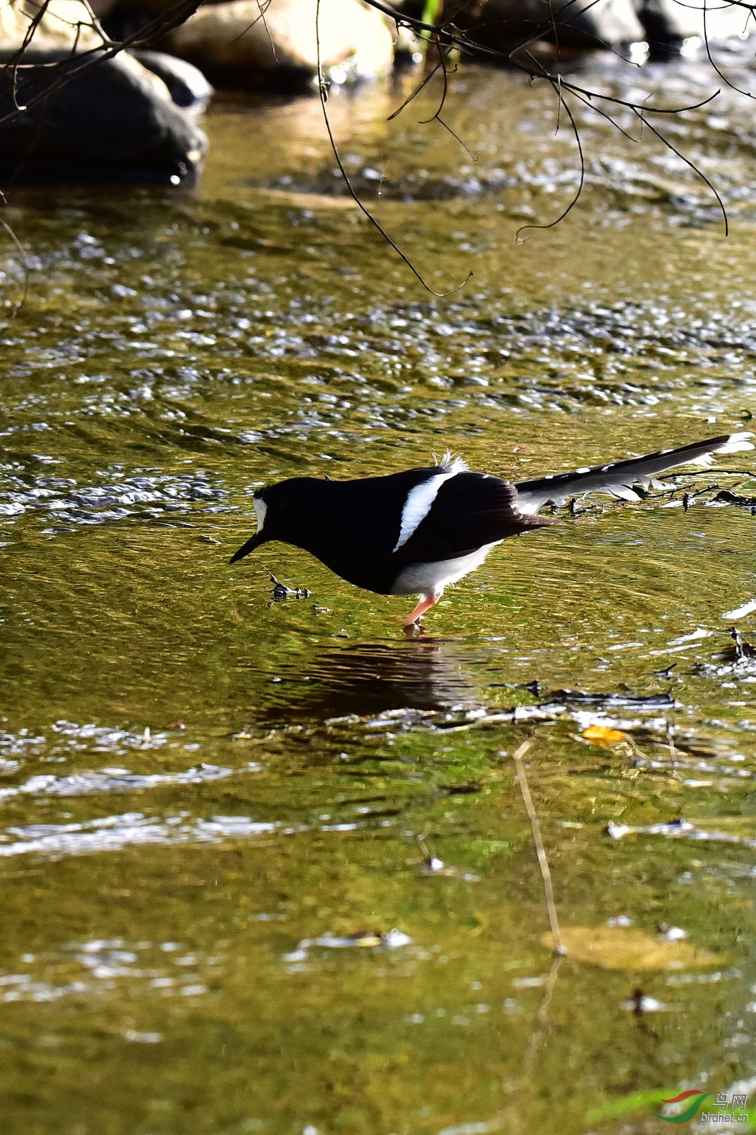 DSC_0196.JPG