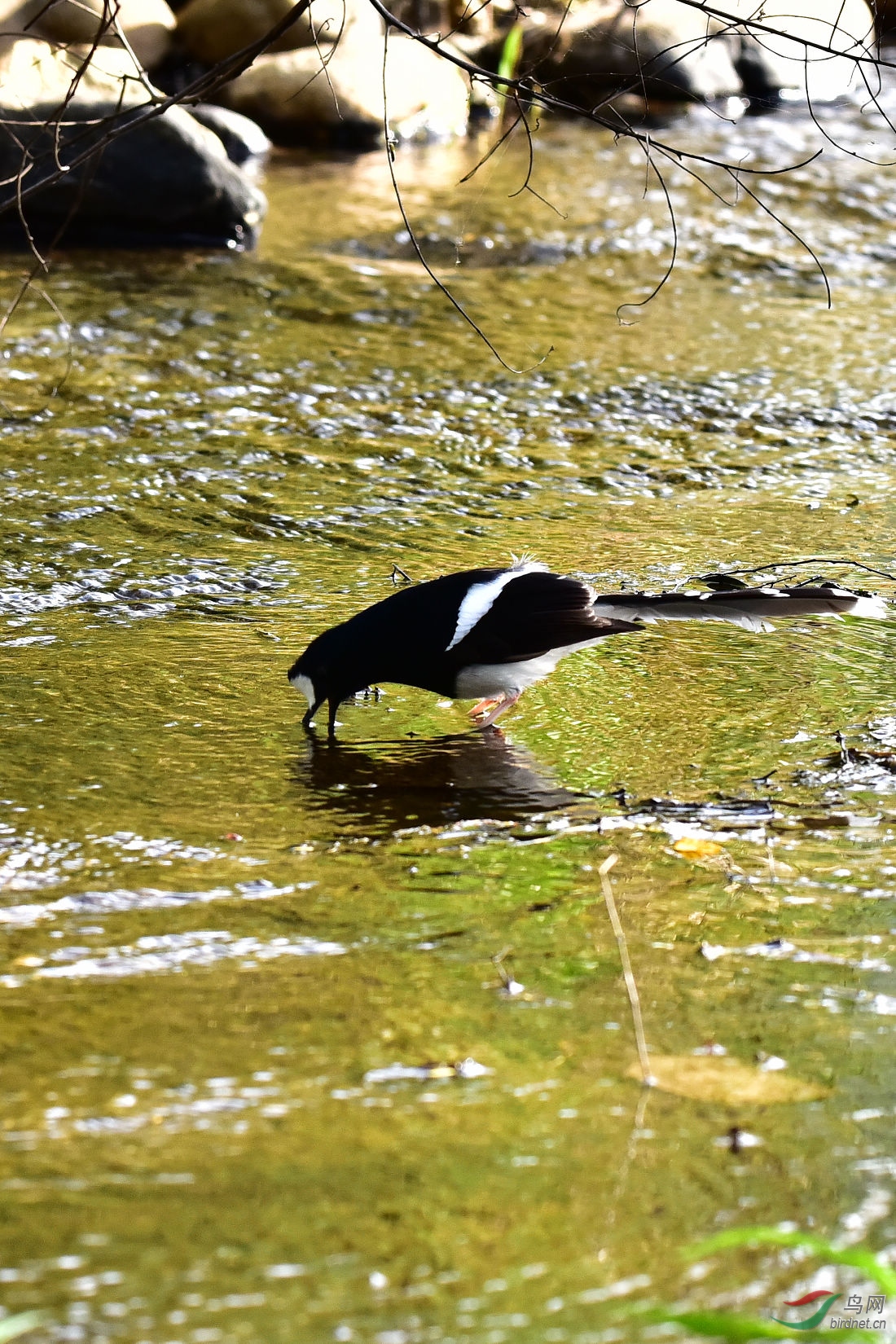 DSC_0197.JPG