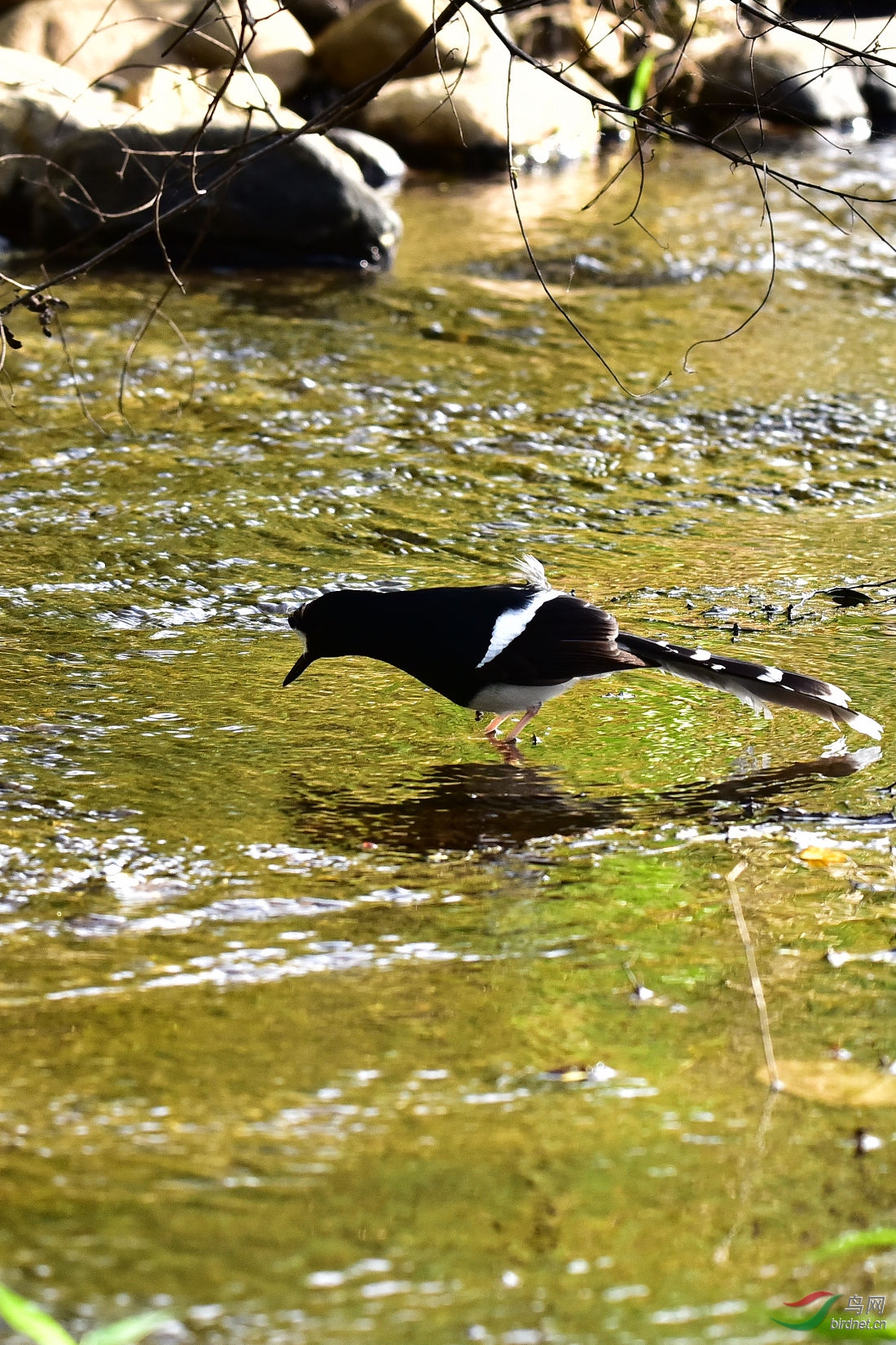 DSC_0199.JPG