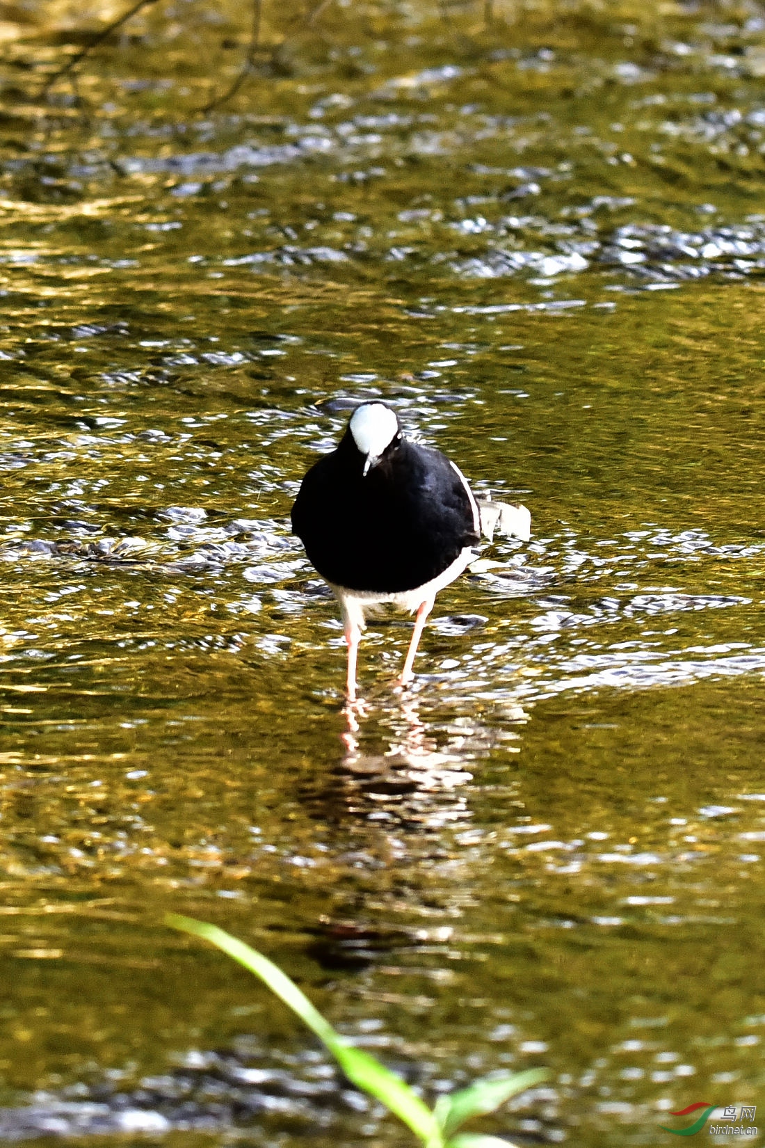 DSC_0200.JPG