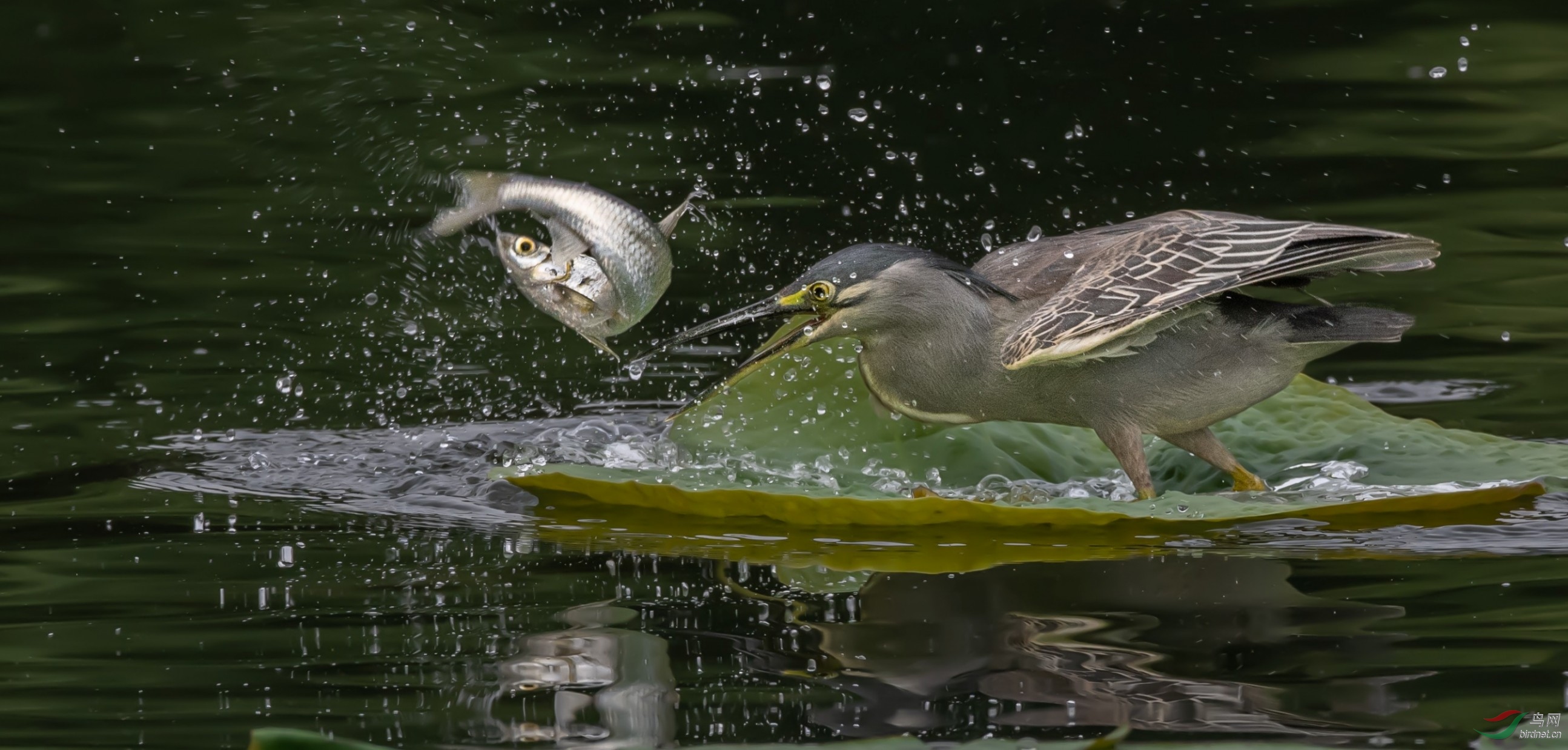 2020�����������ز���