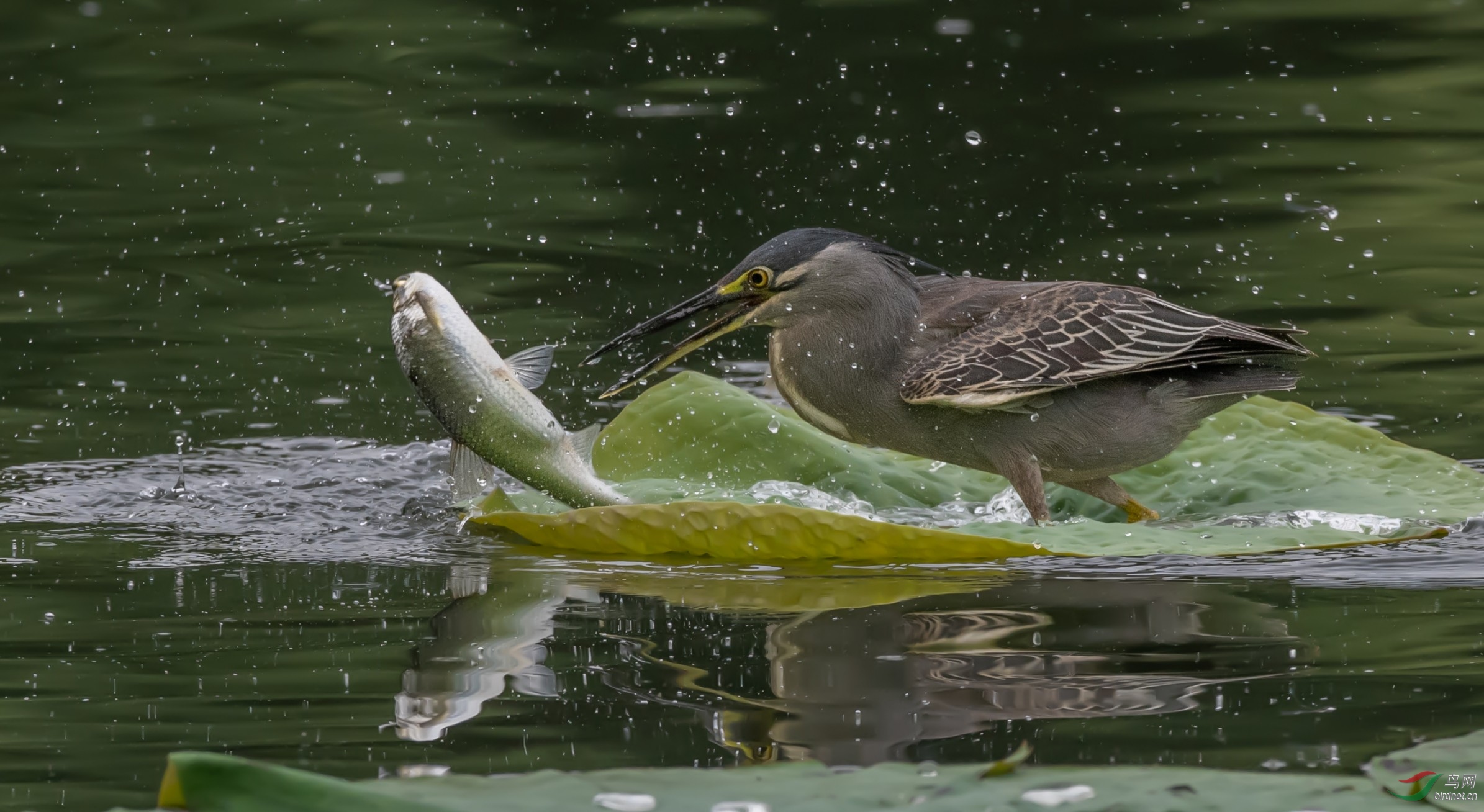 2020�����������ز���