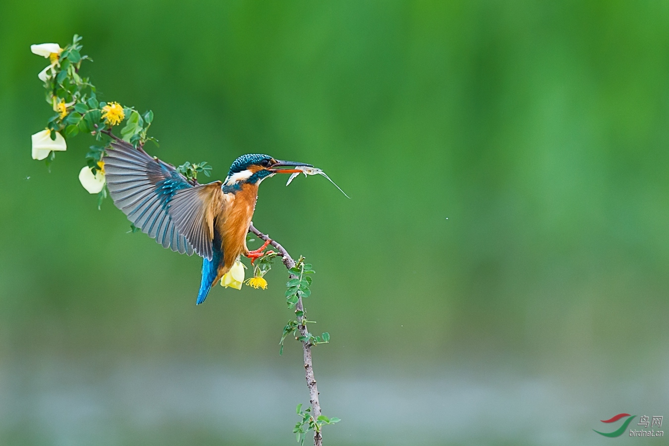 XCG_5333 - ����.jpg