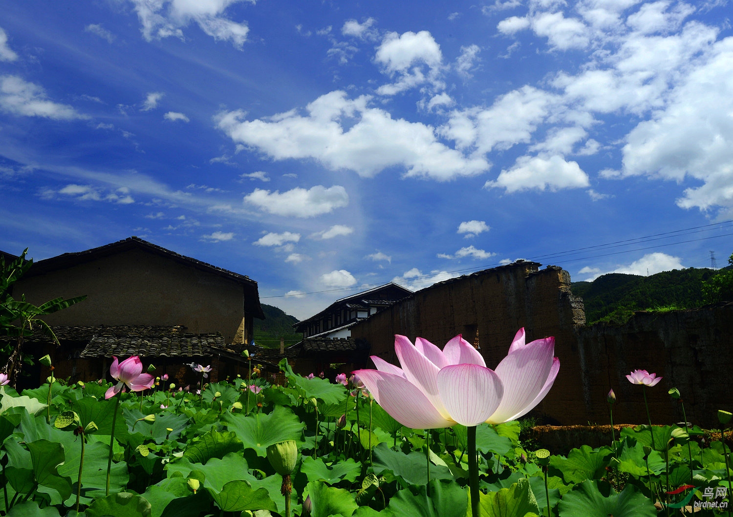 _D803520.jpg