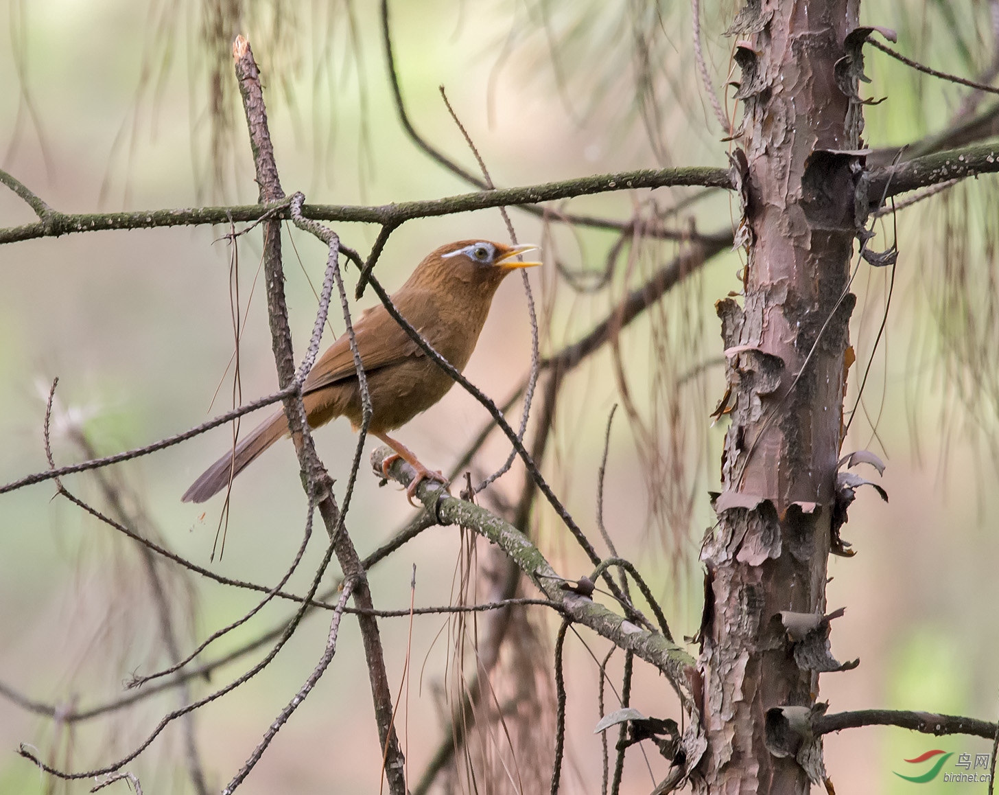 DSC_7502.jpg