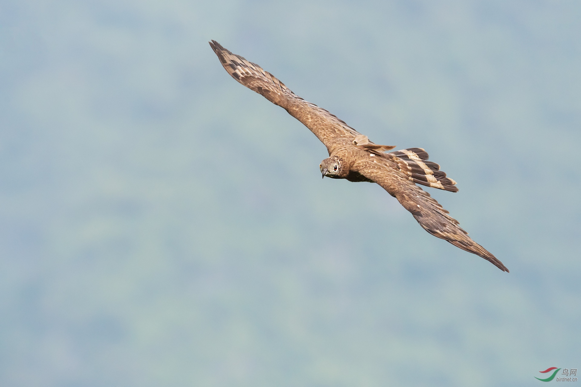 DSC_6178.jpg