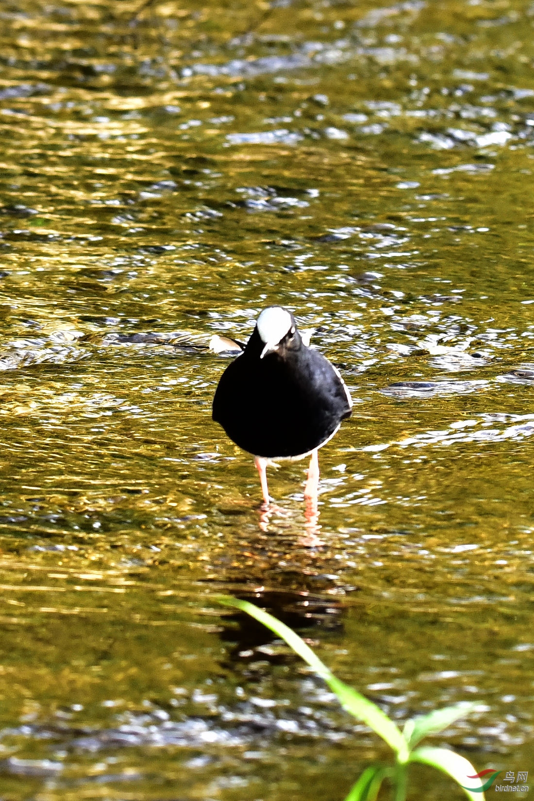 DSC_0203.JPG