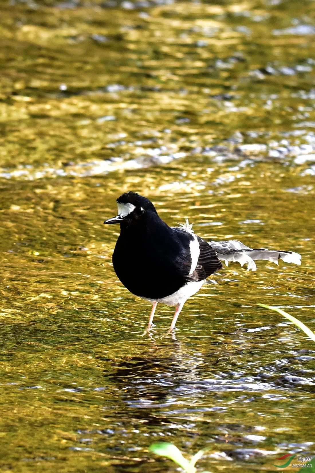 DSC_0204.JPG