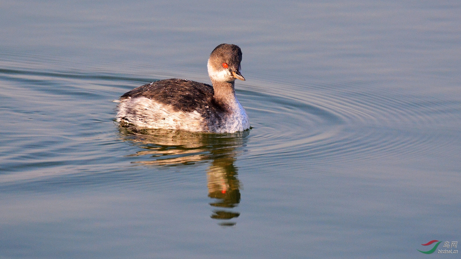 DSC_6417.JPG