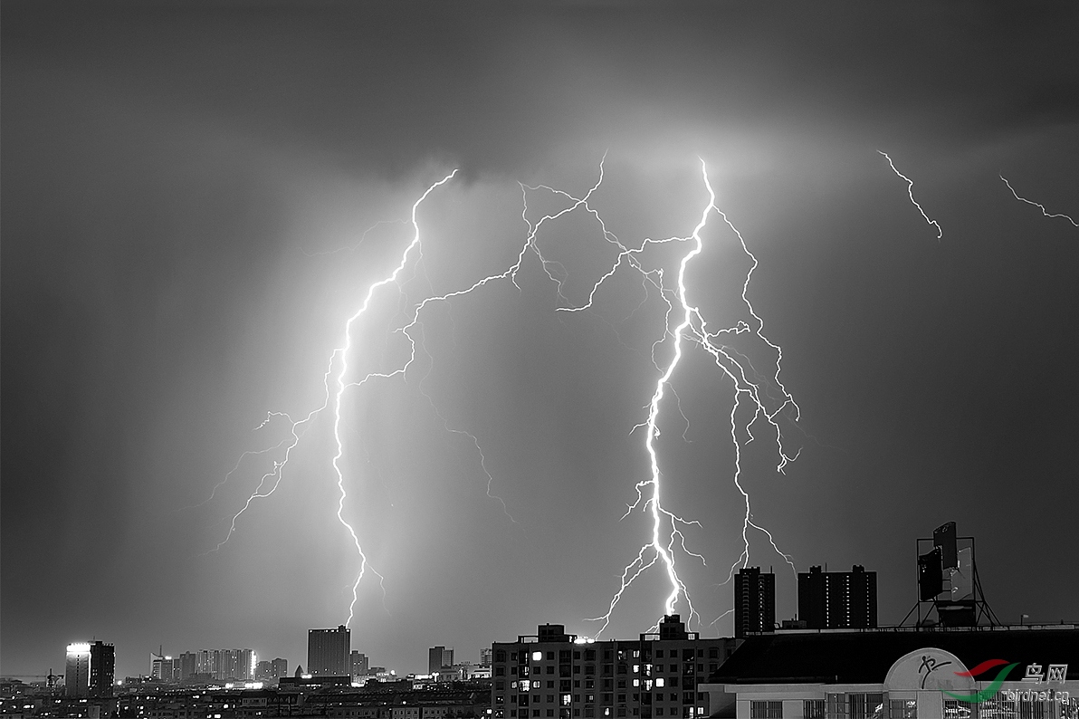 雷公震怒贺荣获首页精华