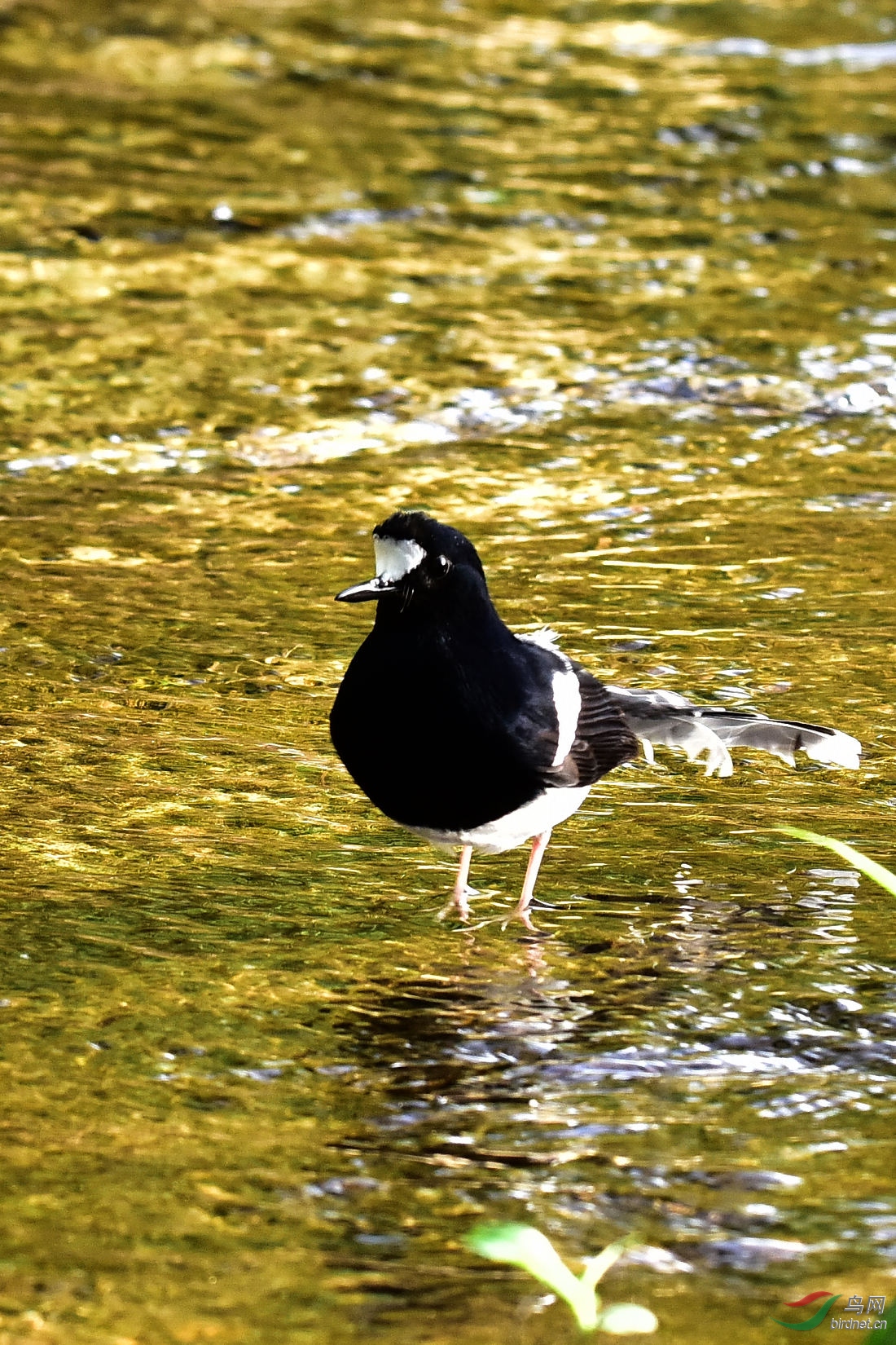 DSC_0205.JPG