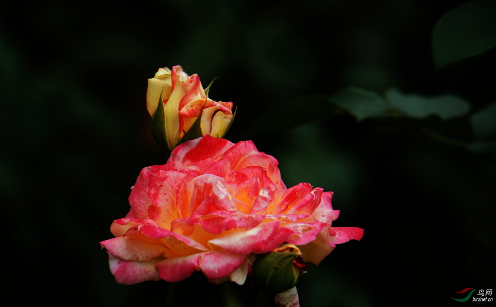 DSC08361.JPG