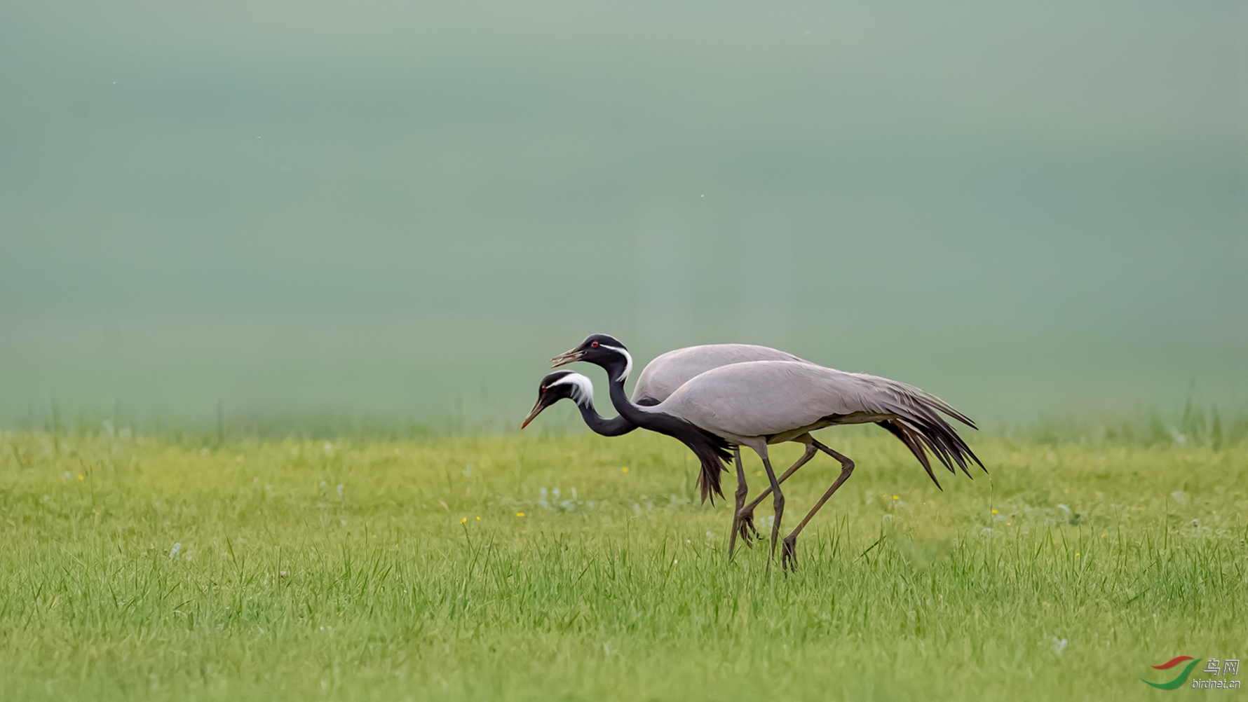 DSC_2407-1.jpg