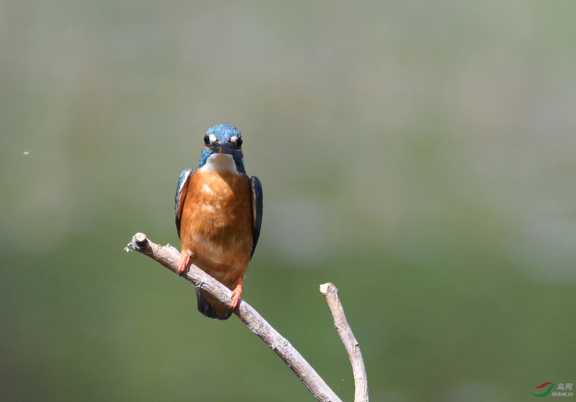 ������Ӱ 6075����.jpg