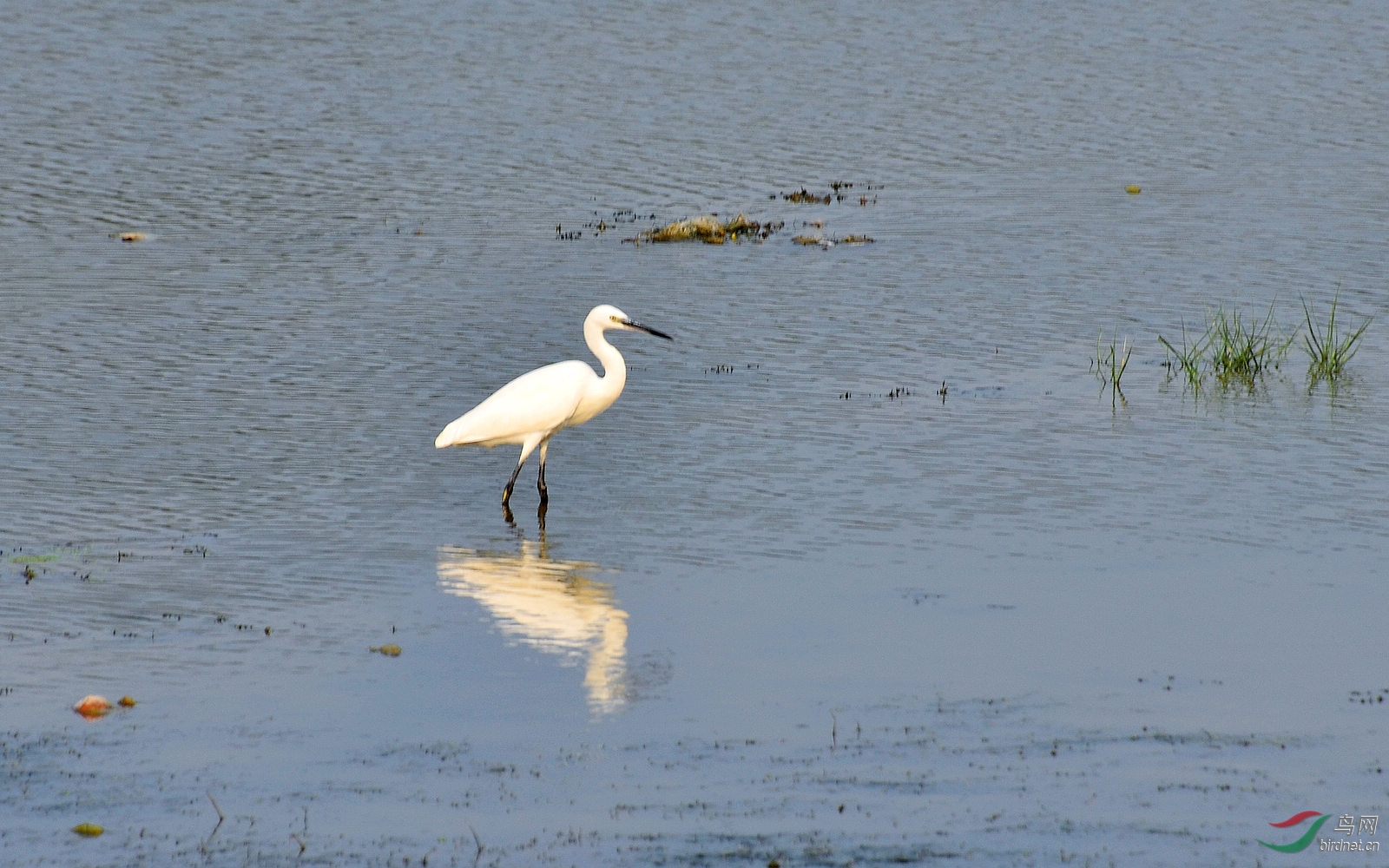 DSC_4855.JPG