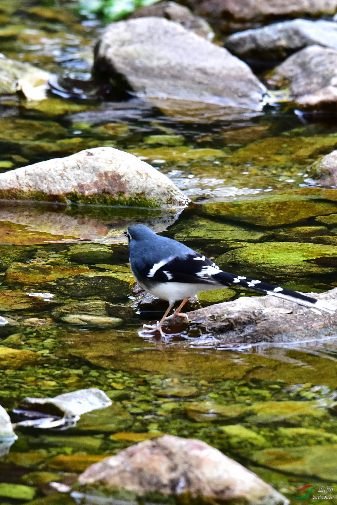 DSC_0209.JPG