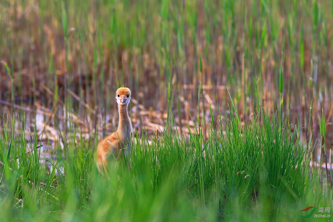 �����С�һ��