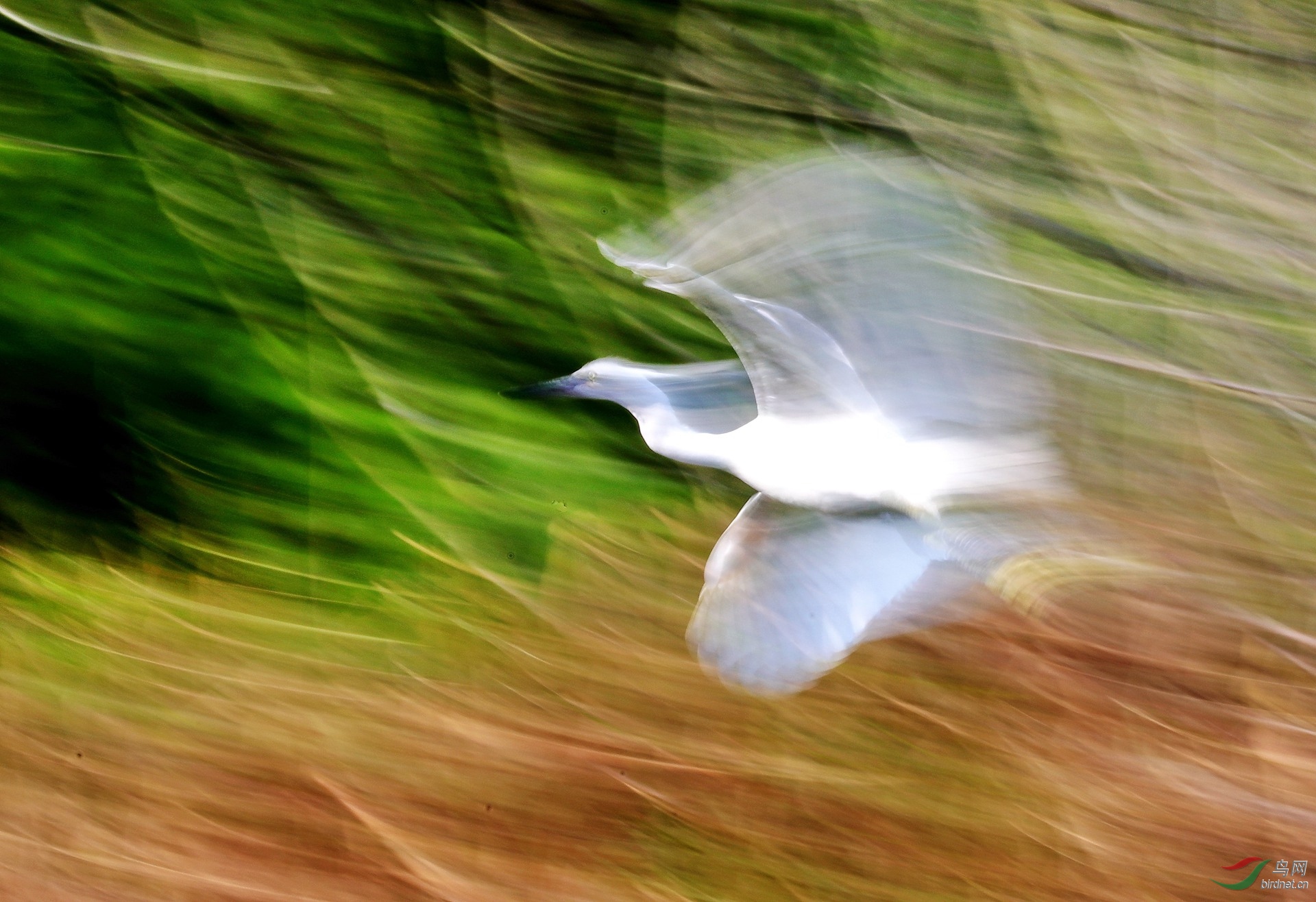 0D5A0782.jpg