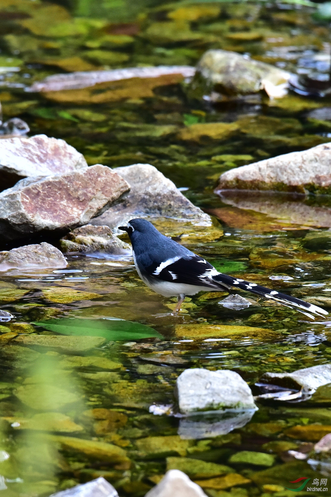 DSC_0212.JPG