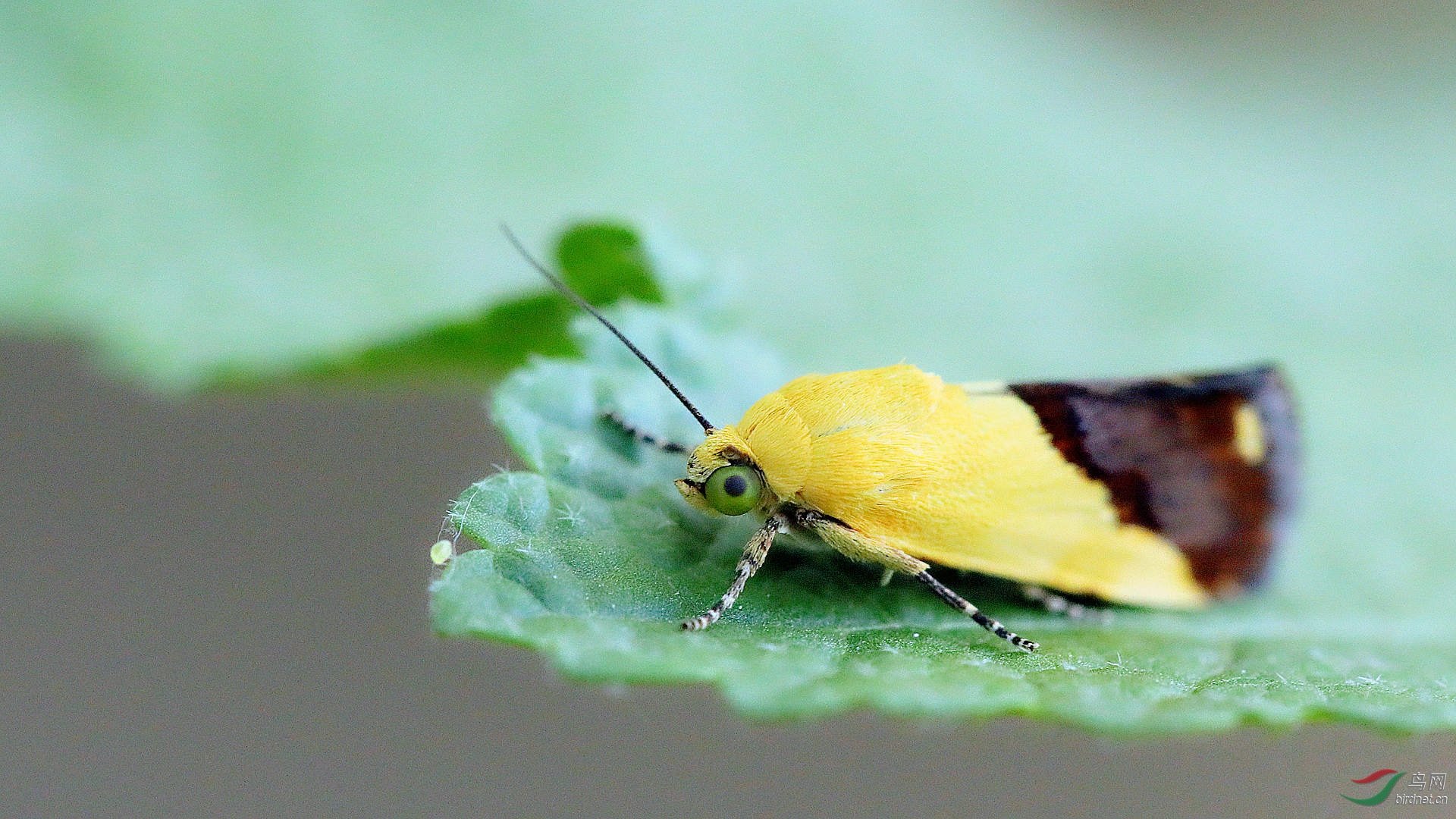 EC6A5359_����.jpg