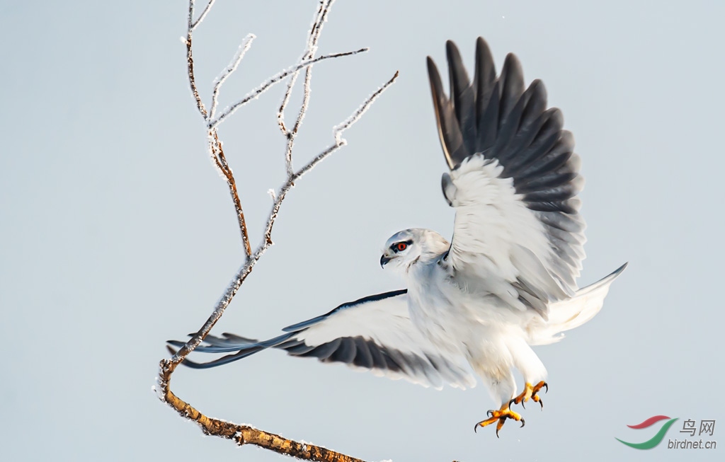 DSC_6961-0.jpg