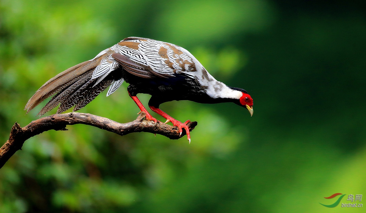 aa9w8282_���� - ����_����.jpg